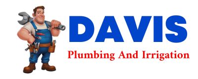 Trusted plumber in PINE APPLE